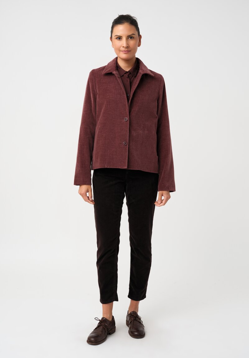 Casey Casey Cotton Velvet Pwet Point Collar & Button-Down Jacket in Syrah Red
