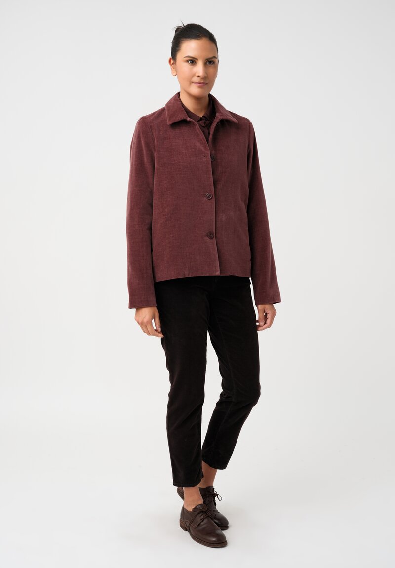 Casey Casey Cotton Velvet Pwet Point Collar & Button-Down Jacket in Syrah Red