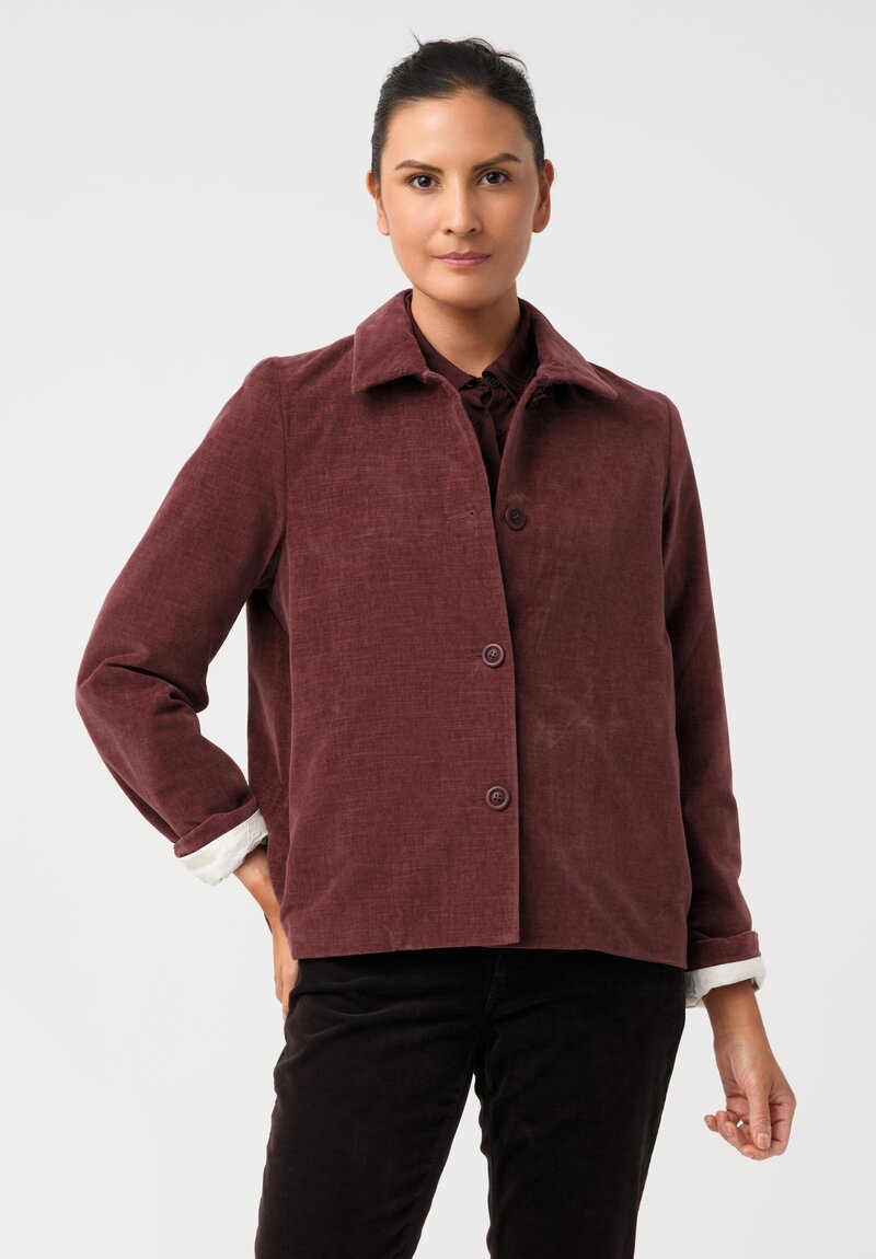 Casey Casey Cotton Velvet Pwet Point Collar & Button-Down Jacket in Syrah Red