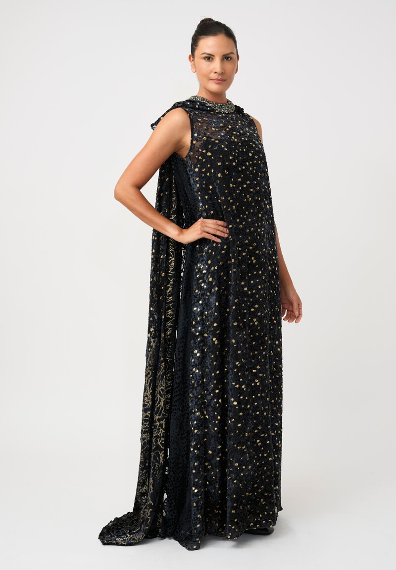Biyan Fil Coupé Silk Chiffon Imola Cape Dress with Beaded Neckline