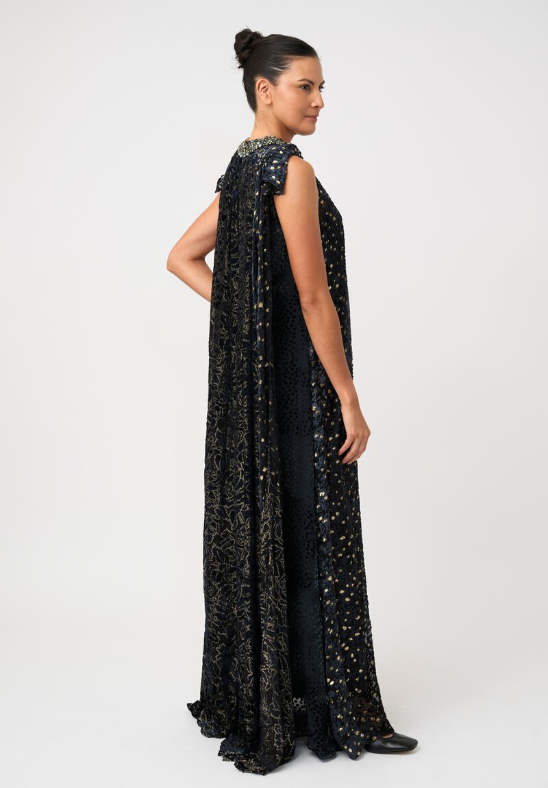 Biyan Fil Coupé Silk Chiffon Imola Cape Dress with Beaded Neckline