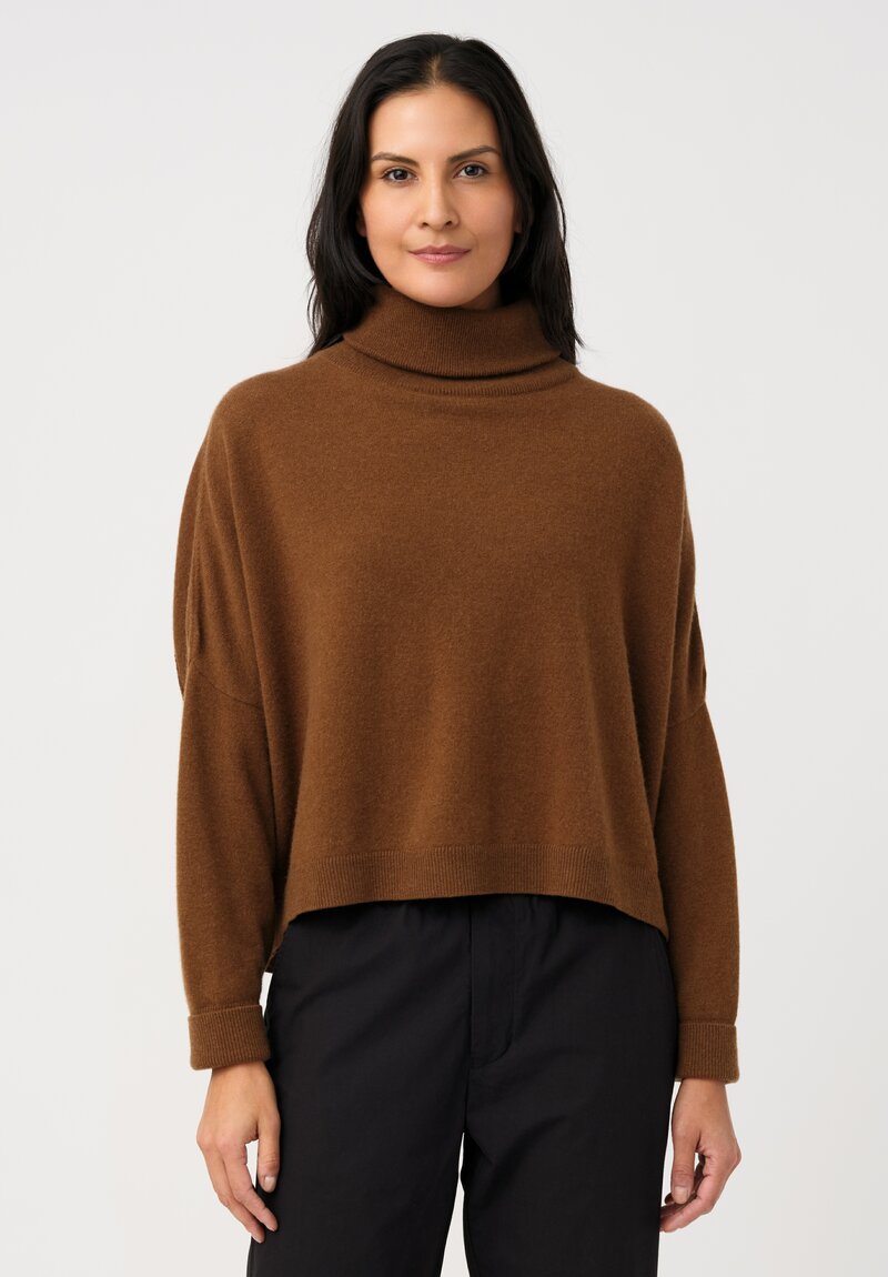 Dusan Cashmere Iconic Turtleneck Sweater in Palissandro Brown	