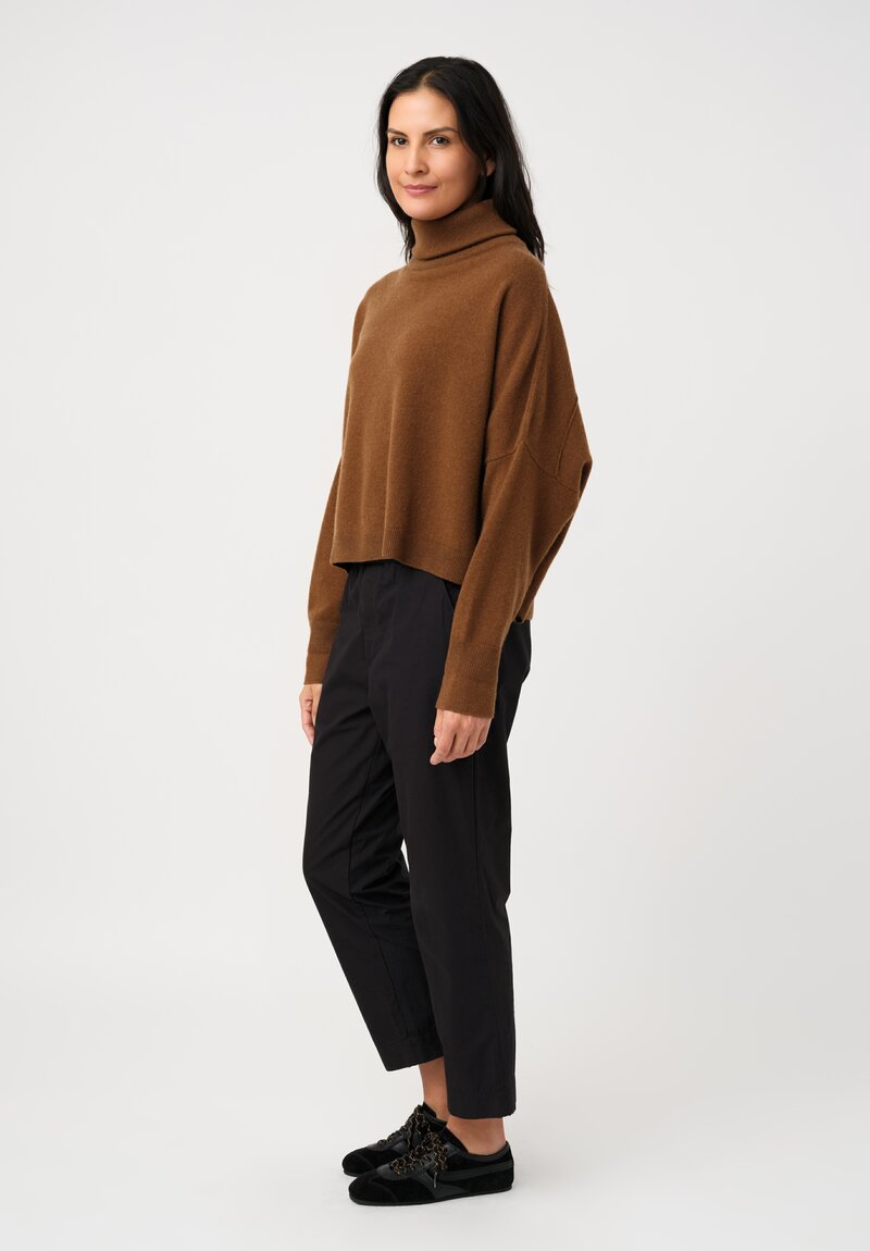 Dusan Cashmere Iconic Turtleneck Sweater in Palissandro Brown	