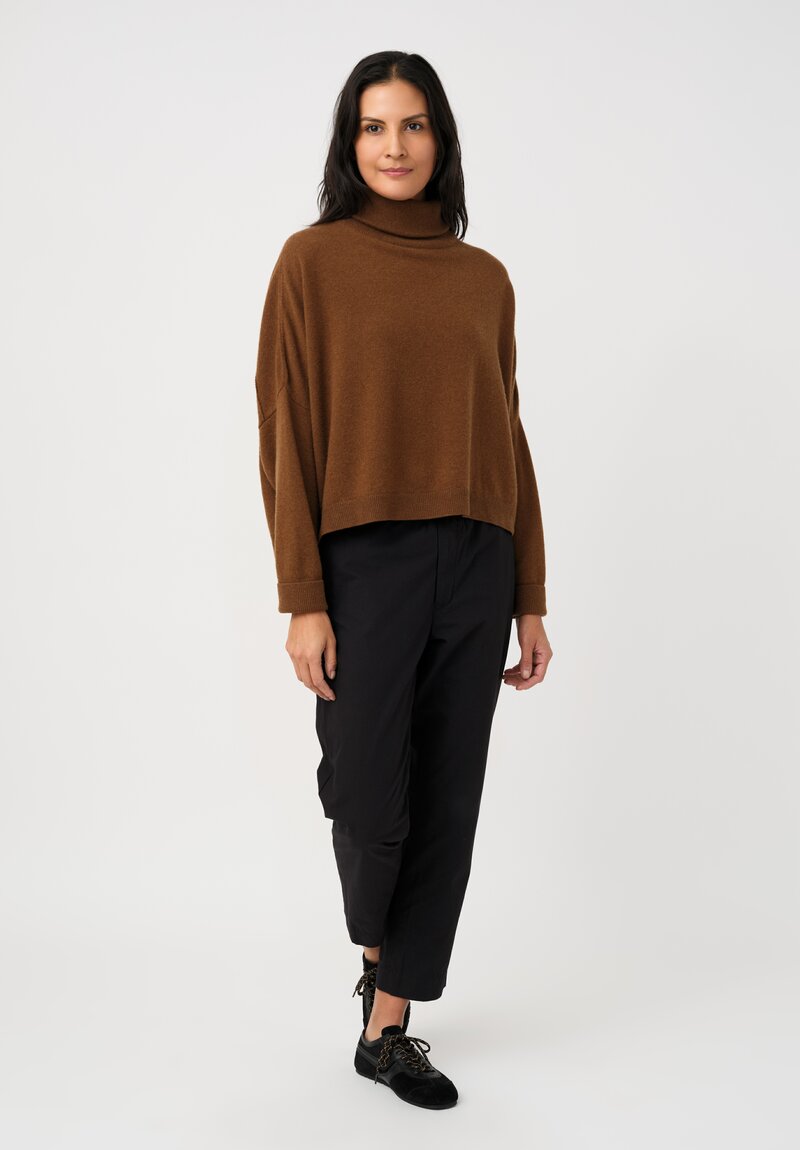 Dusan Cashmere Iconic Turtleneck Sweater in Palissandro Brown	
