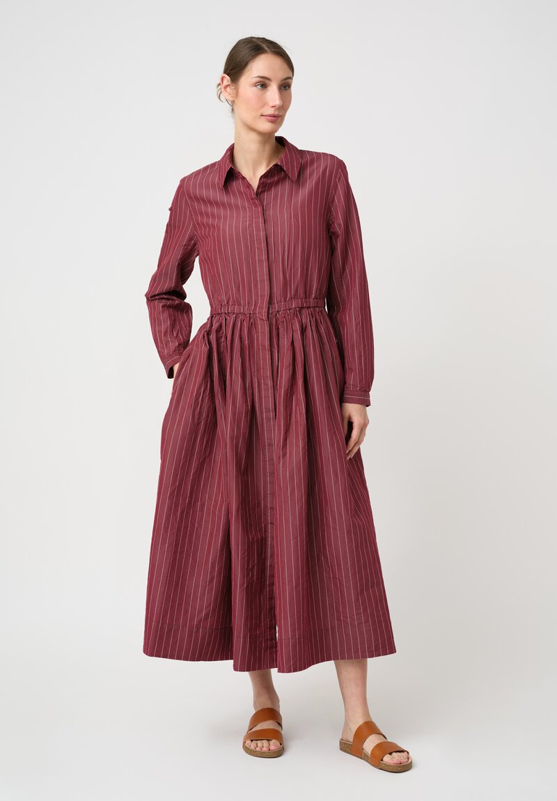 Casey Casey Cotton & Silk Panzy Dress in Wine Red Pinstripes