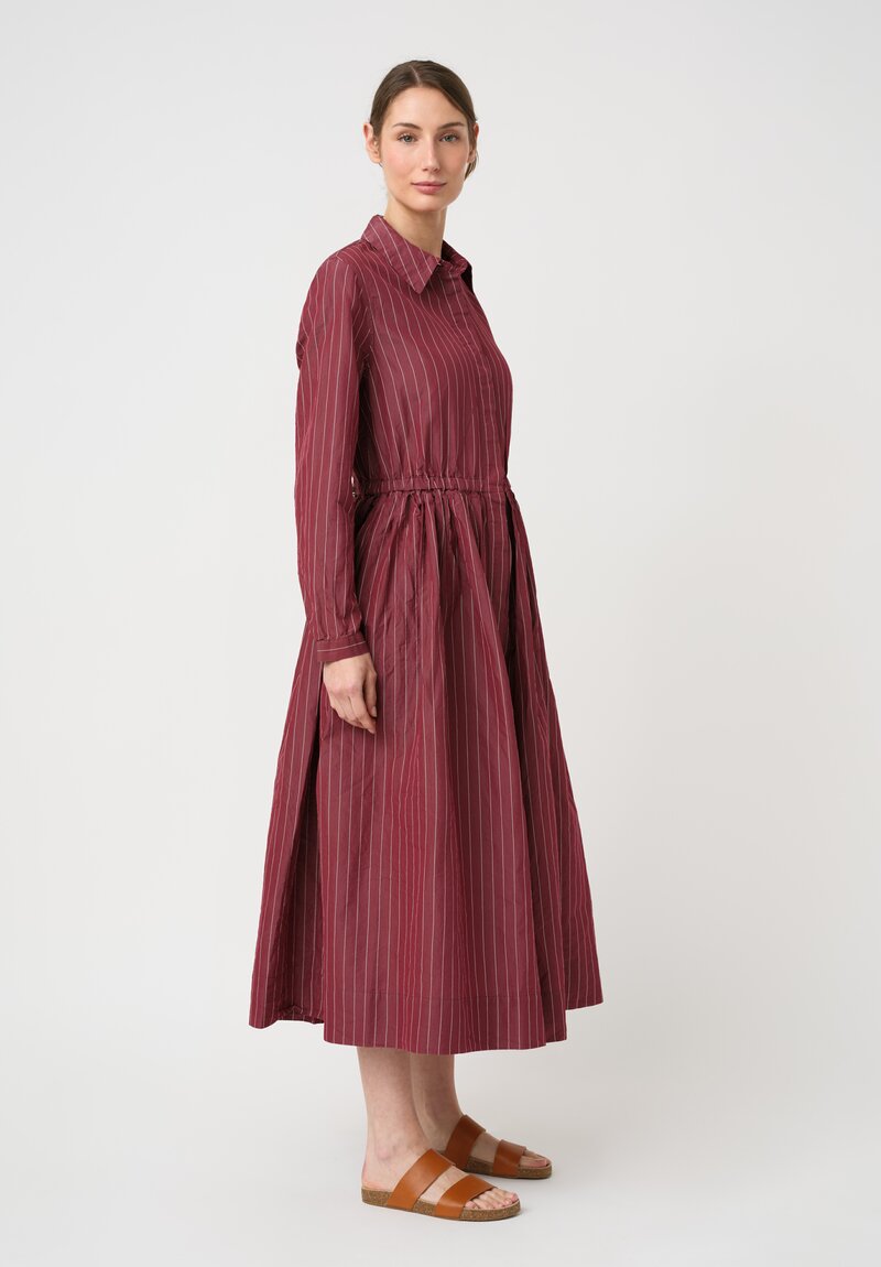 Casey Casey Cotton & Silk Panzy Dress in Wine Red Pinstripes