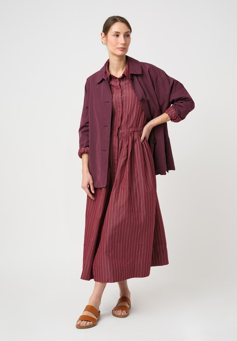 Casey Casey Cotton & Silk Panzy Dress in Wine Red Pinstripes