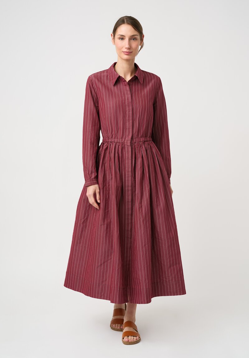 Casey Casey Cotton & Silk Panzy Dress in Wine Red Pinstripes