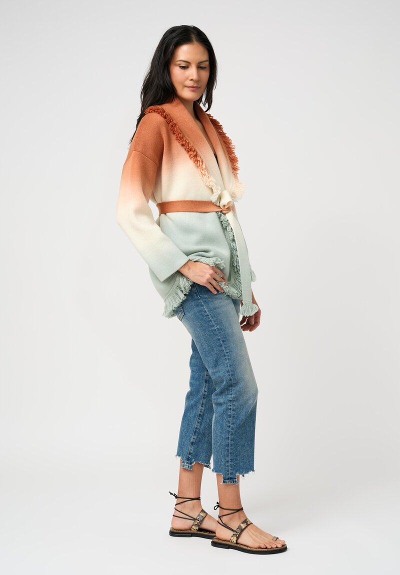 Alanui Ombré Shades of Shore Cardigan