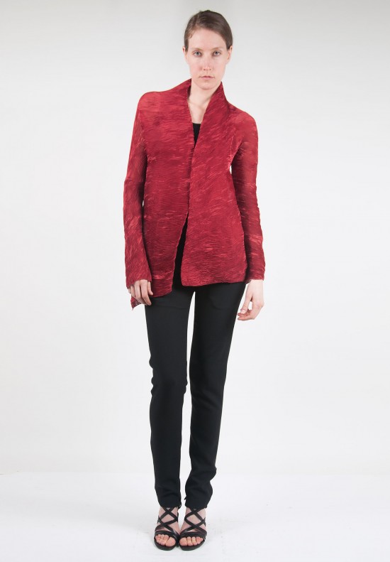 Anett Röstel Pleated Jacket in Red | Santa Fe Dry Goods . Workshop ...