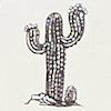 Tucson
