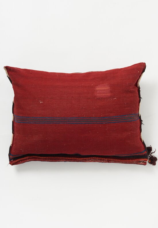 Antique and Vintage Wool Bakhtiyari Flat Woven Saddle Bag Pillow in Red Multi