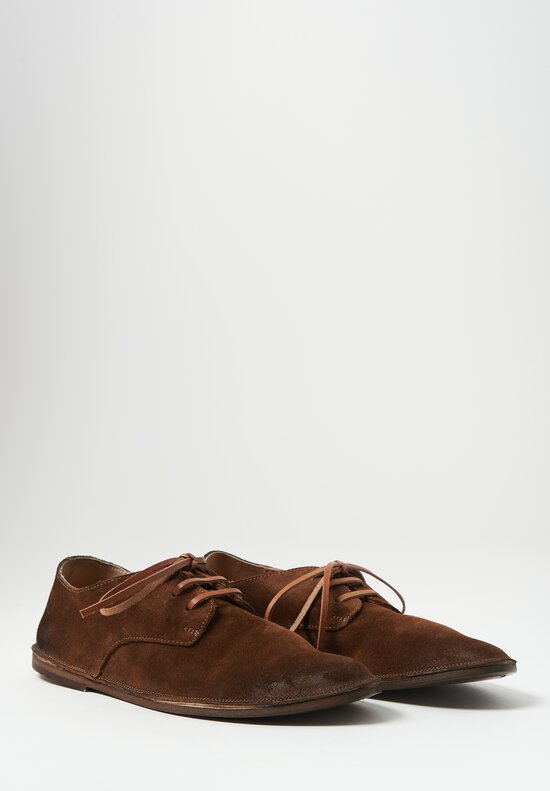 Marsell Suede Strasacco Derby in Marrone Brown