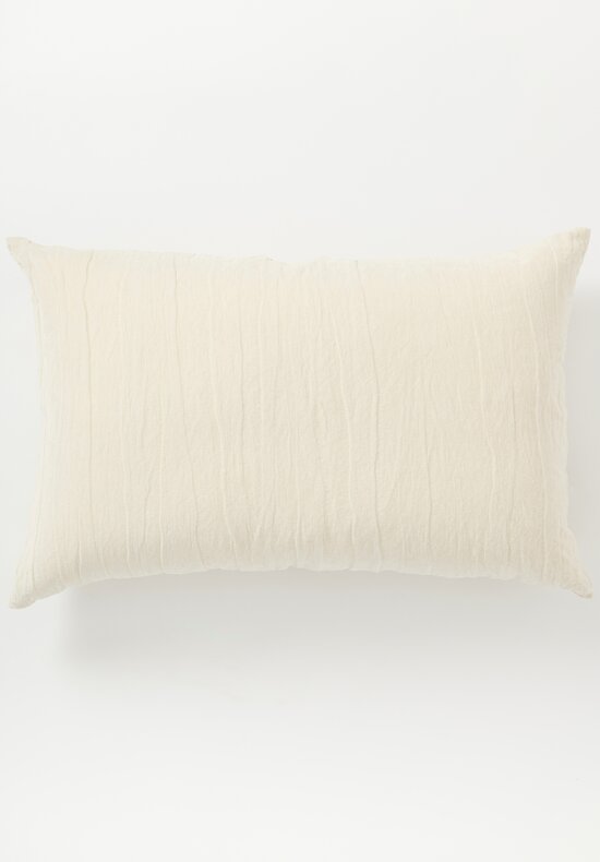 The House of Lyria Cotton and Metallic Velvet Ostrea Large Rectangle Pillow in Bone