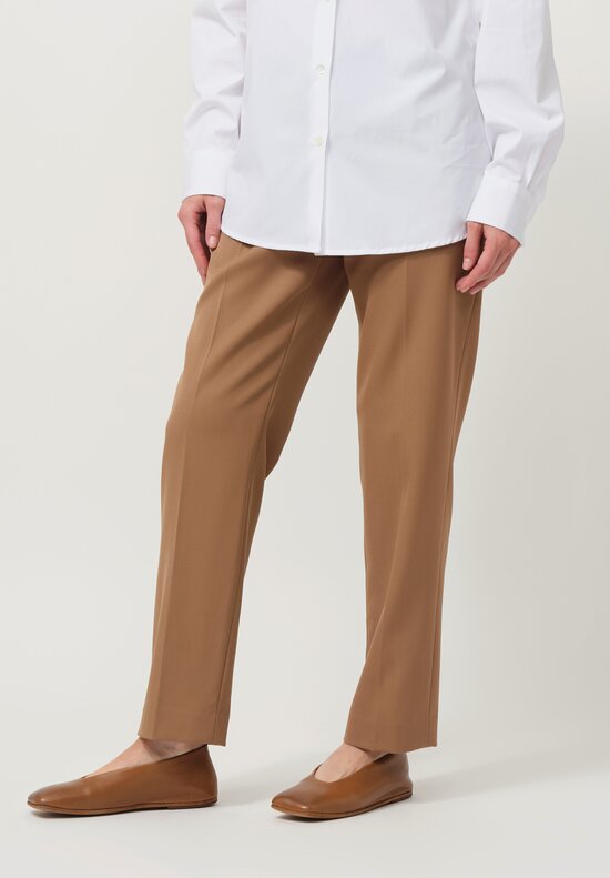 Dries Van Noten Poumas Pants in Tan Brown	