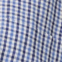 Blue Gingham