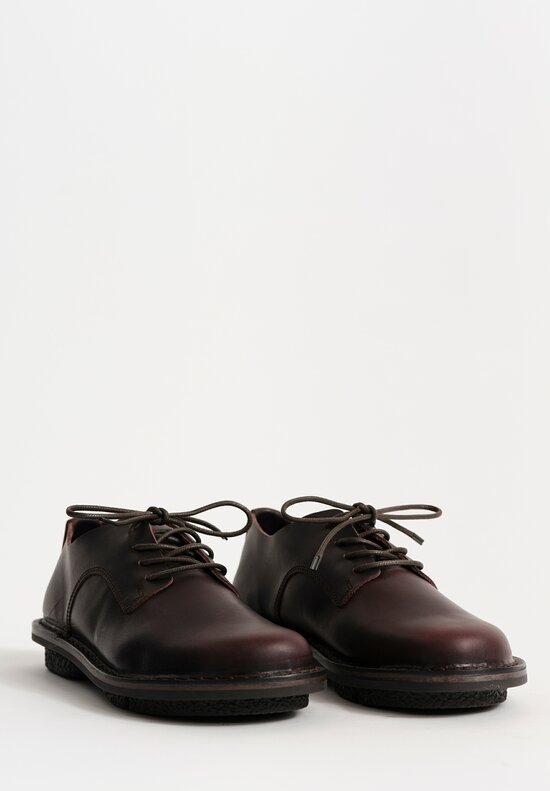 Trippen Leather Ernie Lace-Up Shoe in Espresso Brown	