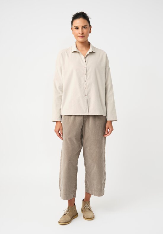 Album di Famiglia Cotton Velvet W&S Pants in Ash Brown