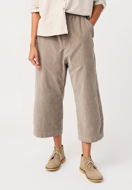 Album di Famiglia Cotton Velvet W&S Pants in Ash Brown