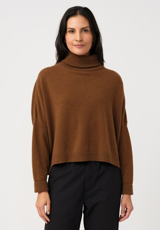 Dusan Cashmere Iconic Turtleneck Sweater in Palissandro Brown	