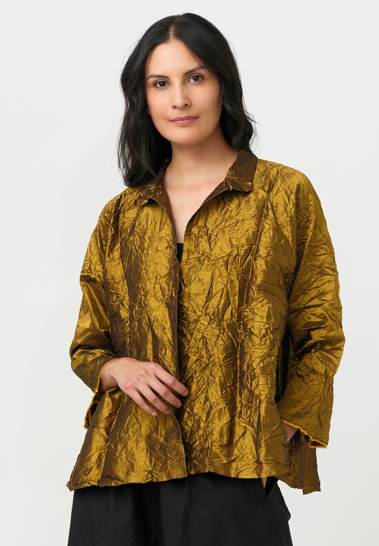 Daniela Gregis Washed Silk Spicchi Colletto Jacket