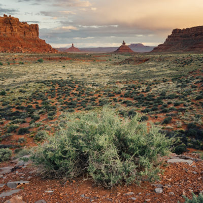 Earth Day 2020: alley of the Gods, Bears Ear National Monument, Utah