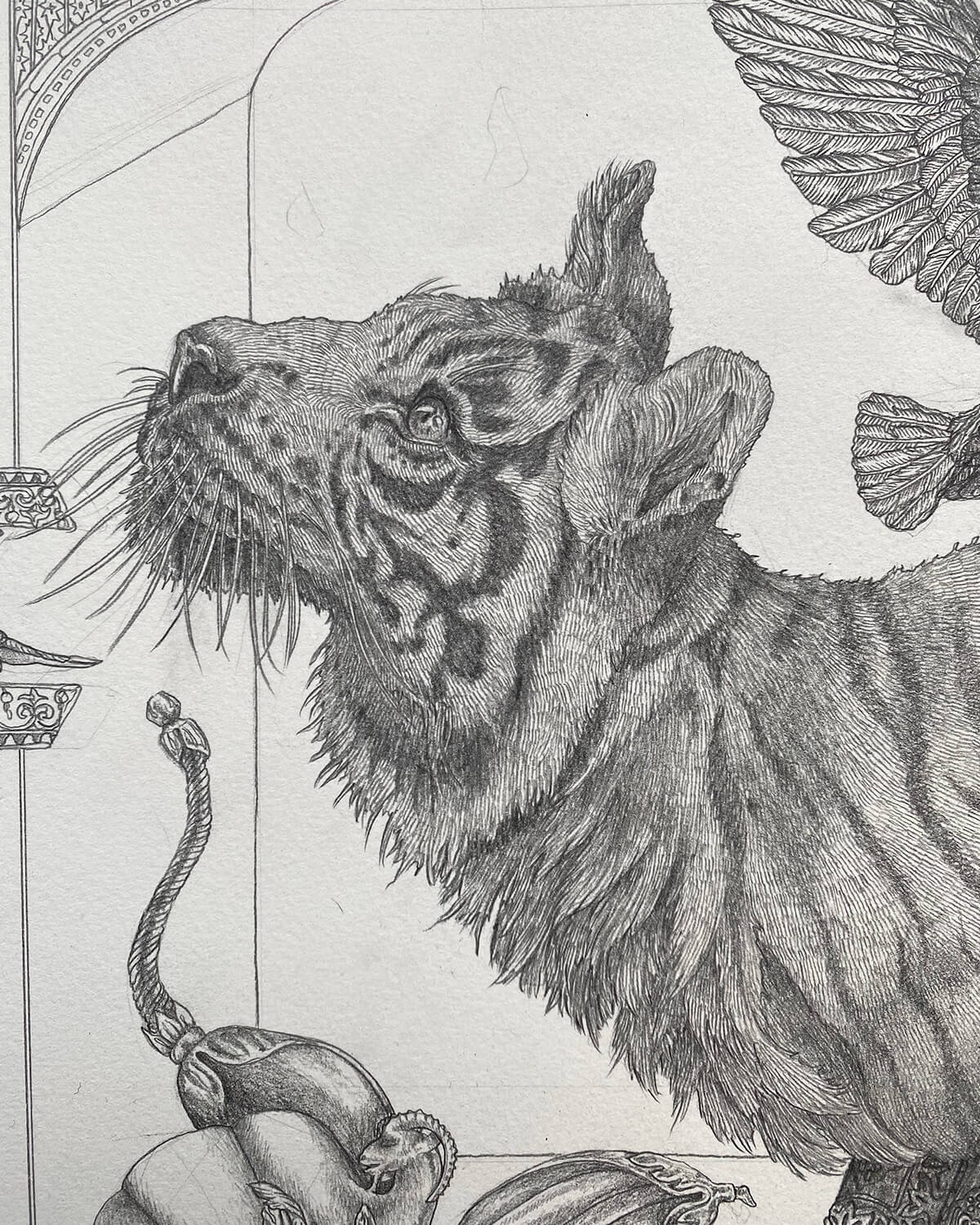 Sabina Savage Drawings: PANCHATANTRA Tiger